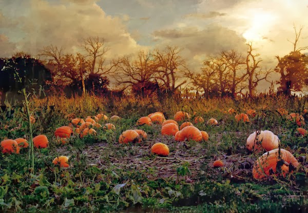 Haunted_Pumpkin_Patch_by_SolStock