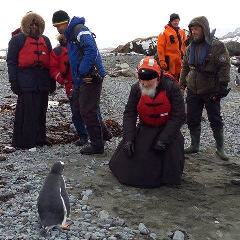 Il patriarca Kirill osserva incuriosito un pinguino